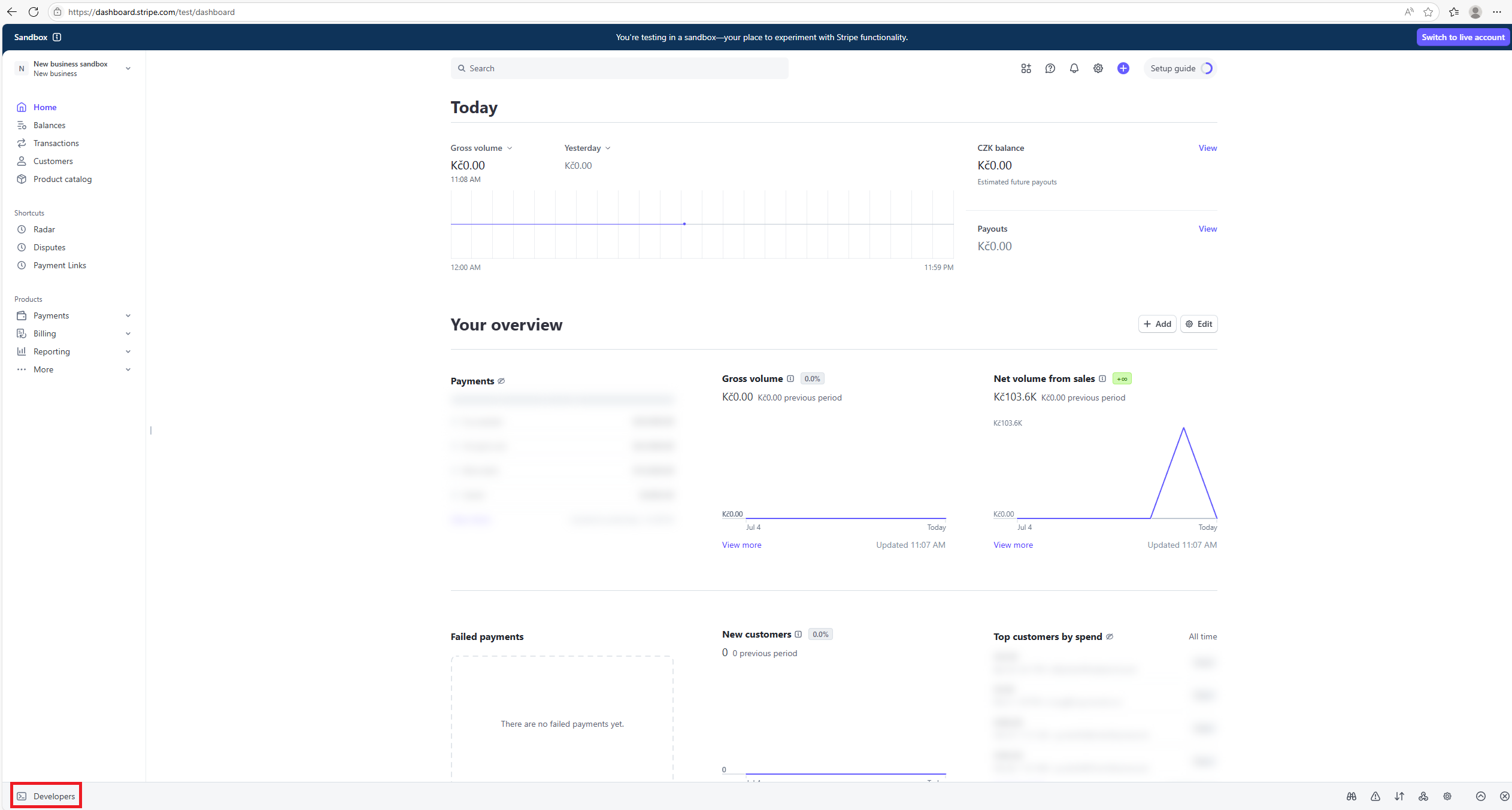 1-dashboard-go-to-developers.png